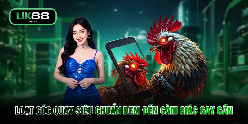 Đá Gà UK88 2 Loạt góc quay siêu chuẩn đem đến cảm giác gay cấn